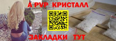 тгк Кингисепп