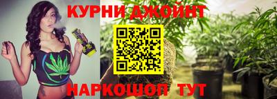 гашик Кандалакша