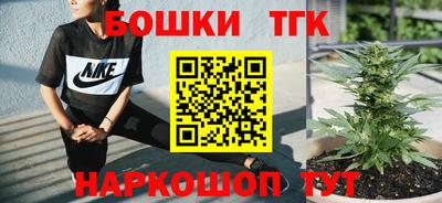 гашик Кандалакша