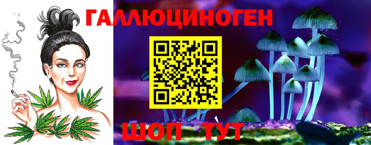 Галлюциногенные грибы MAGIC MUSHROOMS  Псилоцибиновые грибы мицелий  Усть-Джегута  Вход с VPN 