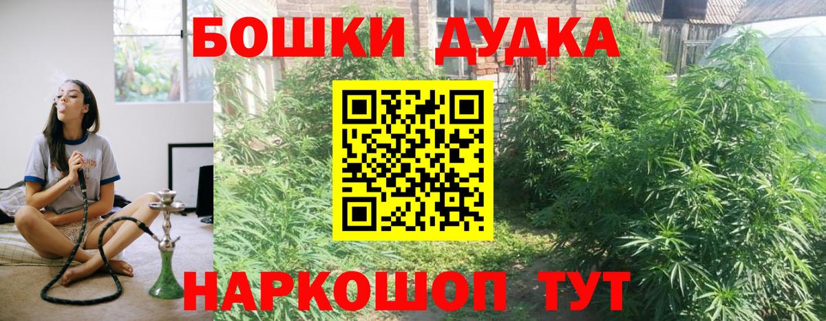 Бошки марихуана VHQ Усть-Джегута